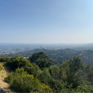 Incorrect listing disregard